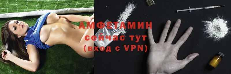 Amphetamine Premium  купить закладку  Александров 