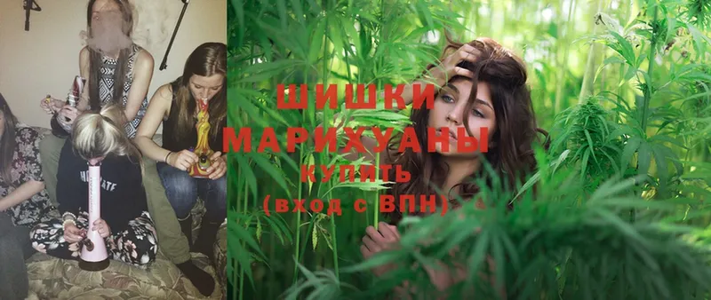 Марихуана SATIVA & INDICA  Александров 